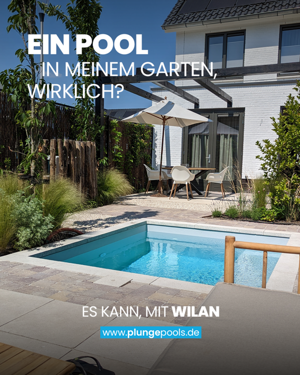 Plunge Pool Oder Schwimmbecken