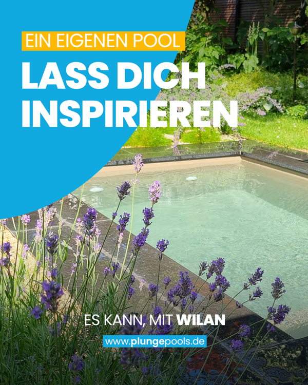 Pool, Plunge Pool Oder Schwimmteich Für Deinen Garten