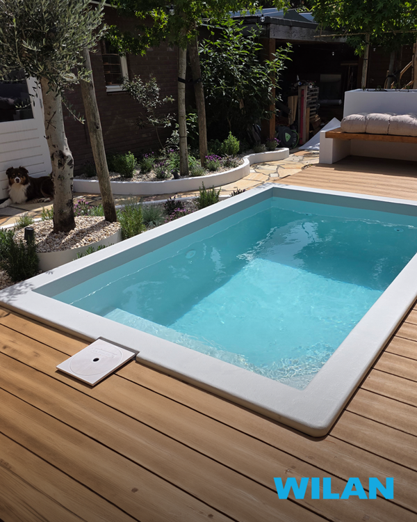 Pool, Plunge Pool & Schwimmteich Nach Maß